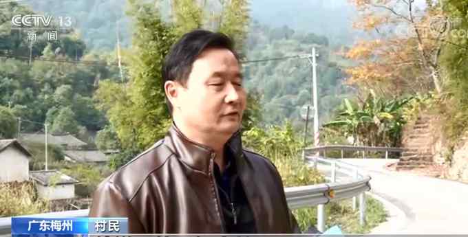 广东一村民被红火蚁咬后休克 网友：最担心的事情还是发生