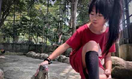 曹格女儿长大了 曹格女儿长成什么样子了
