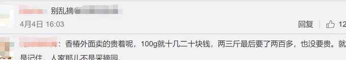 游客称采香椿被村民一个芽罚500元？最终赔260元 村支书回应了
