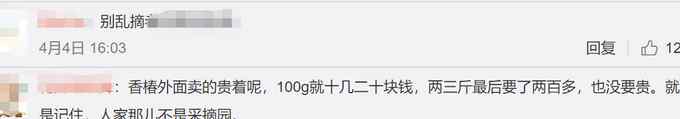 游客称采香椿被村民一个芽罚500元？最终赔260元 村支书回应了