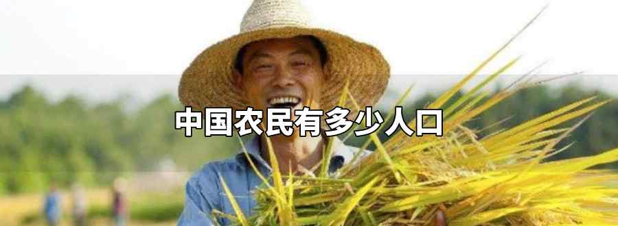 中国农民有多少人口