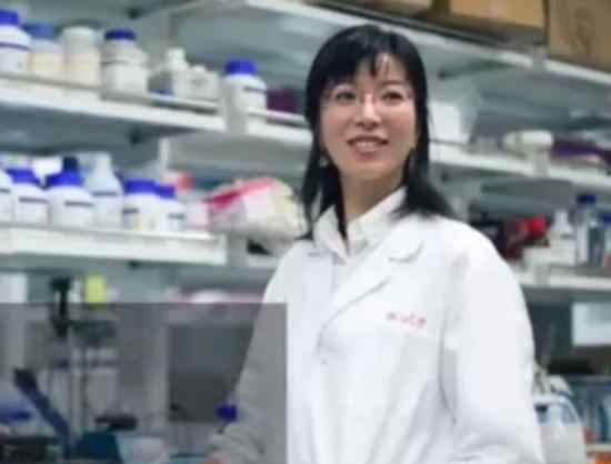 浙大美女教授获脑研究大奖 为第一个获得该奖项的亚洲人