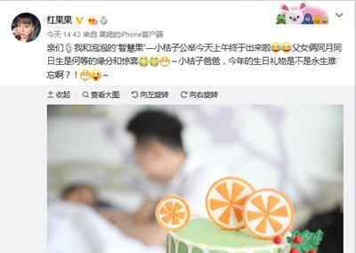 红果果绿泡泡产女 红果果绿泡泡结婚多久了