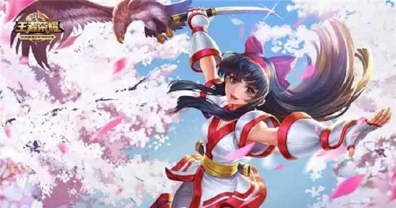 adc是什么 王者荣耀AD什么意思AP、ADC、AOE等术语是什么意思
