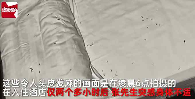 男子出差住酒店深夜有东西在脸上爬 开灯一看瞬间发麻：满床白蚁！