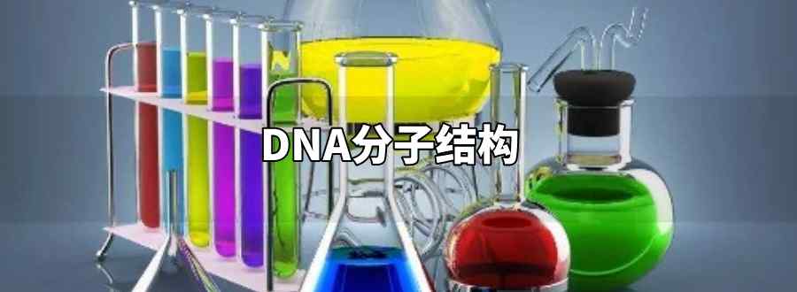 DNA分子结构