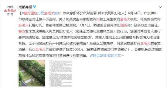 警方回应金毛犬案件了吗嫌疑人有没有打老人