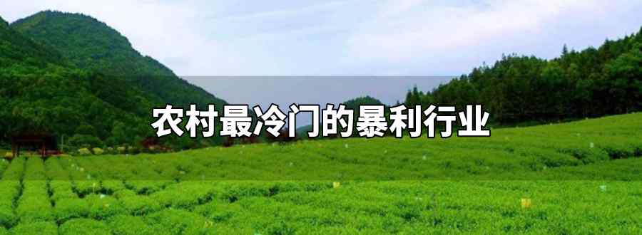 农村最冷门的暴利行业