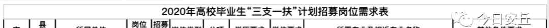 昌邑人事考试网 安丘招聘28人！2年后考核合格，可公开招聘为事业单位人员！部分不限专业！