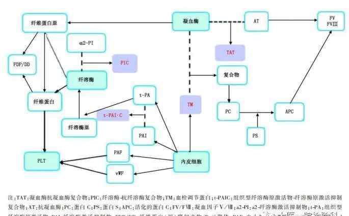 paic 检验科开展血栓四项（TAT、TM等）检测的通知