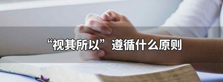 视其所以遵循什么原则