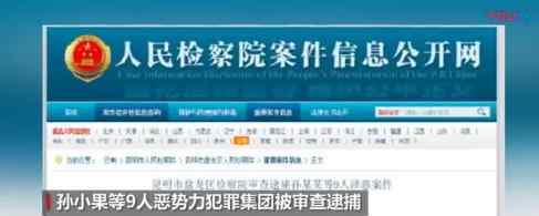 孙小果等恶势力犯罪集团被审查逮捕 什么情况