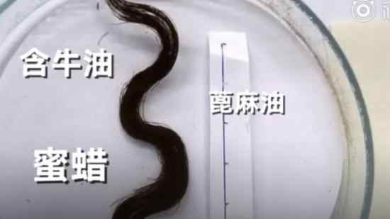 木乃伊现3000年前头发 长什么样子的