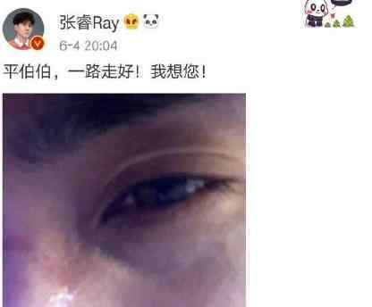 张睿悼念琼瑶丈夫 张睿是怎么悼念的什么情况