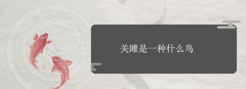 关雎是一种什么鸟
