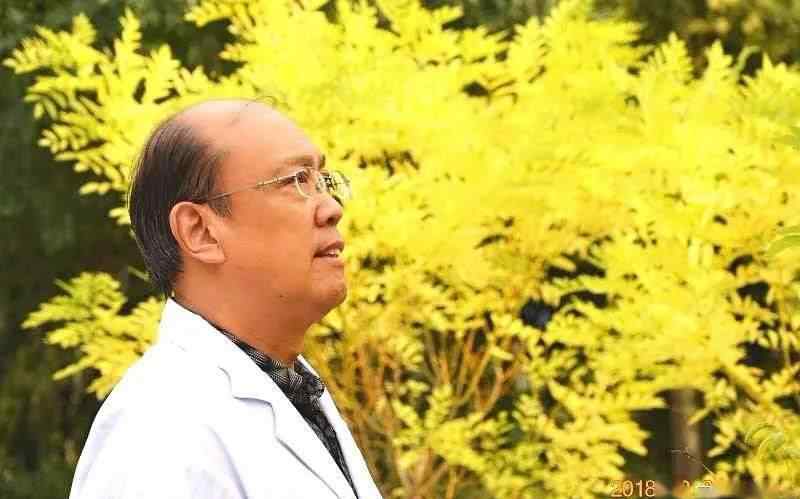 王宁生 【安徽诗歌●诗坛选萃】王宁生 ▎揉碎的月光（组诗）