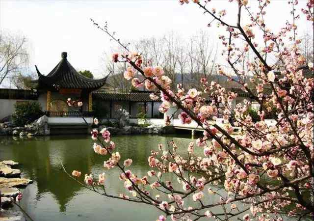 柳桥晚眺 【诗中情味】小诗二首：《清平乐》《柳桥晚眺》