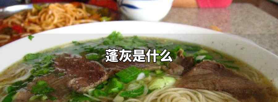 蓬灰是什么东西