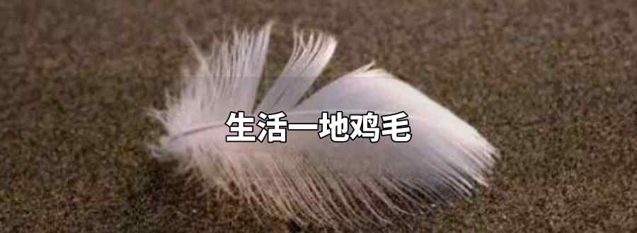 生活一地鸡毛什么意思