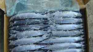 福州流向临沂的进口刀鱼检出弱阳性 进口冷冻食品还能吃吗