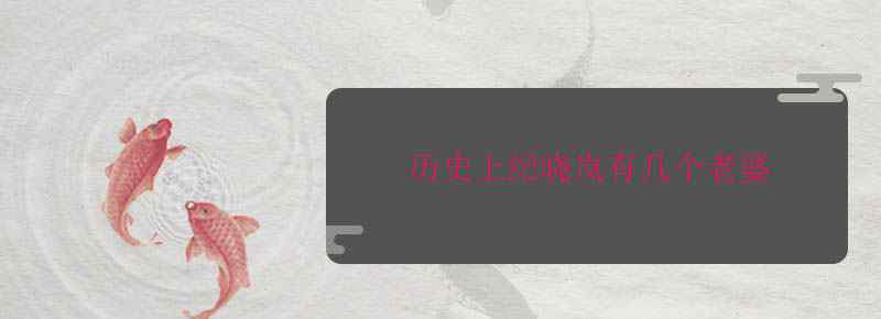 历史上纪晓岚有几个老婆