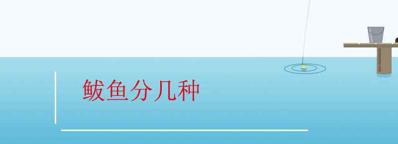鲅鱼分几种