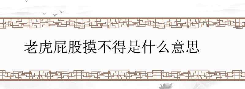老虎屁股摸不得是什么意思