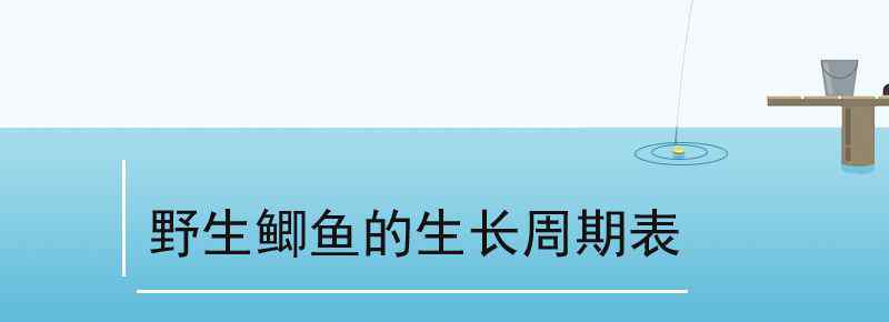 野生鲫鱼的生长周期表