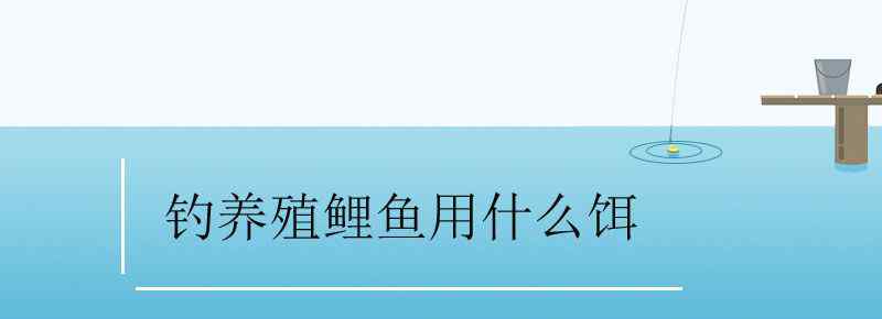 钓养殖鲤鱼用什么饵