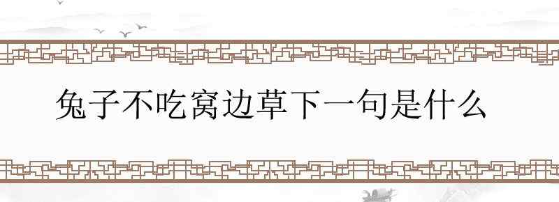 兔子不吃窝边草下一句是什么