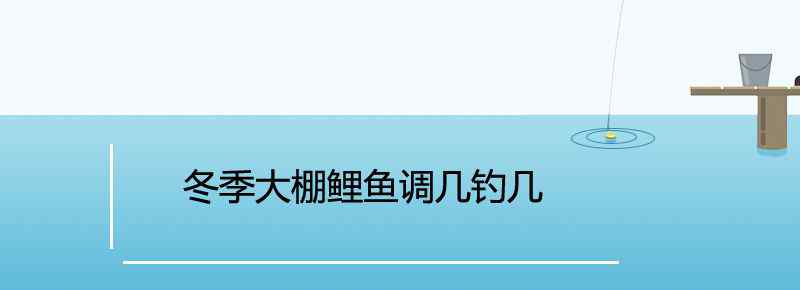 冬季大棚鲤鱼调几钓几