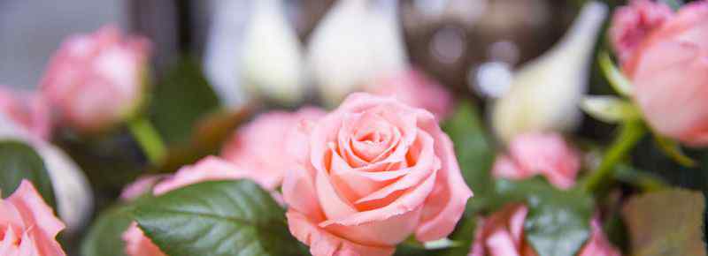 情人节送玫瑰花的意义