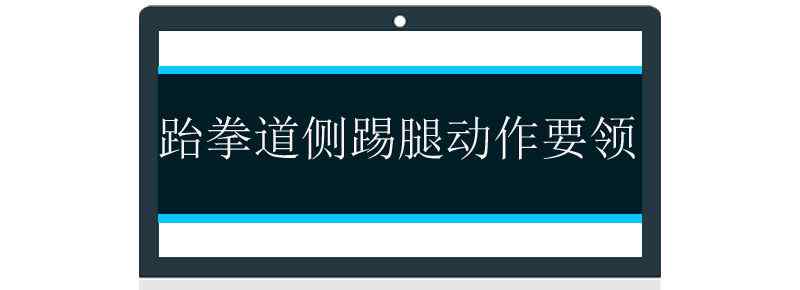 跆拳道侧踢腿动作要领