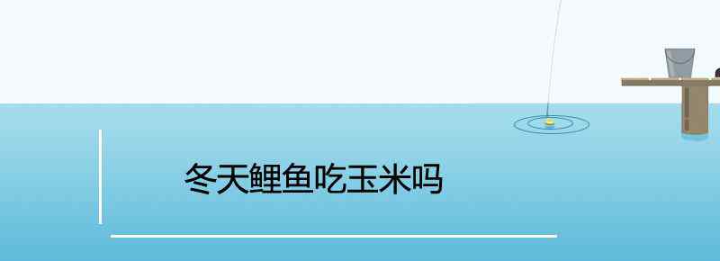 冬天鲤鱼吃玉米吗