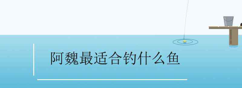 阿魏最适合钓什么鱼