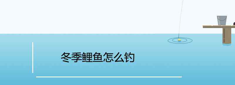 冬季鲤鱼怎么钓
