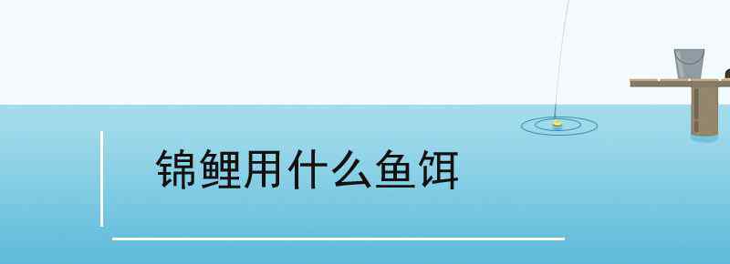 锦鲤用什么鱼饵