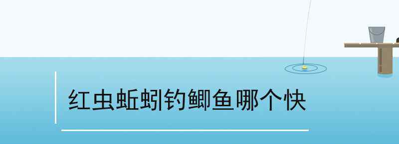 红虫蚯蚓钓鲫鱼哪个快