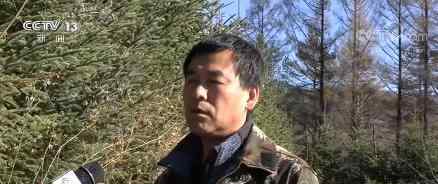 小兴安岭首次找到东北虎吃熊证据 物竞天择