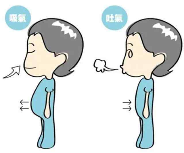 阿成 人为什么要呼吸？