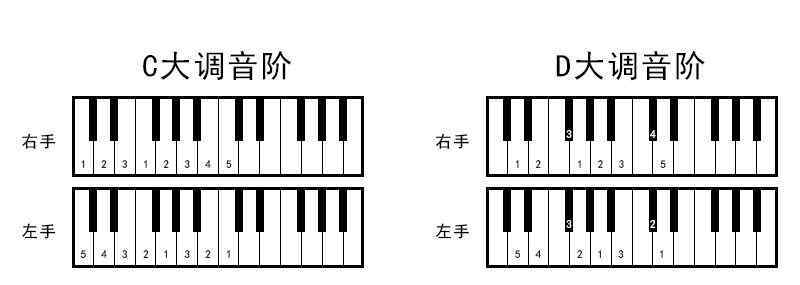 十个手指怎么对应琴键