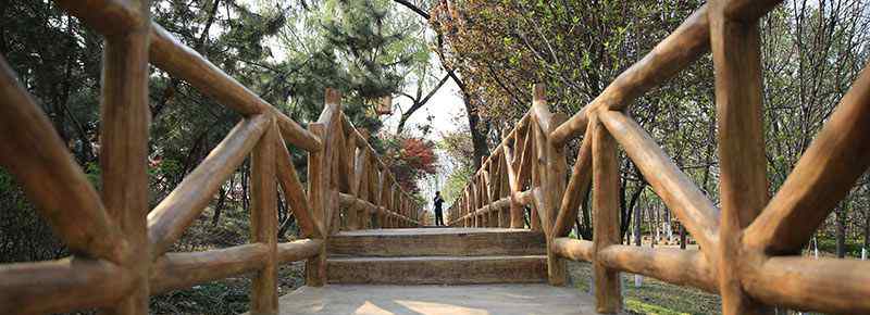 河南挂壁公路在哪里