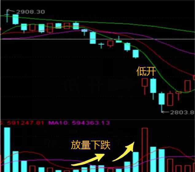 300051 海归女博士终于发声：我用一只母鸡，就能把中国股市给你讲明白了