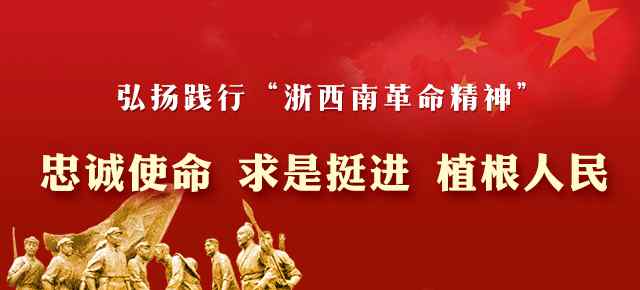 丽水政府 丽水市政府最新干部任免