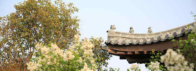 西塘汉服节在哪里举办
