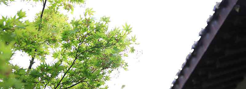 白石龙公园要门票吗
