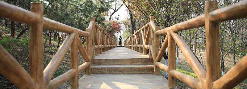 奉贤泡泡公园收门票吗