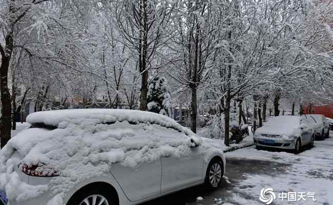 内蒙古呼伦贝尔四月飘雪 事件详情始末介绍！