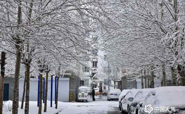 内蒙古呼伦贝尔四月飘雪 具体是啥情况?