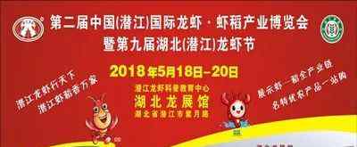 一会一节 潜江——一座被“一会一节”改变的城市